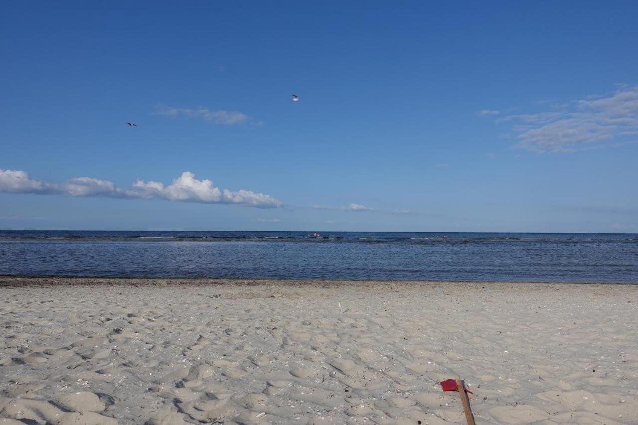 Usedoms Kleines Ostseeglueck #1 In Peenemuende Bis 4 Personen, Zuganreise Moeglich エクステリア 写真